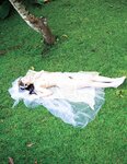 [Photobook] 大槻ひびき1st.写真集 Feel Beat 豪華愛蔵版(2013-11-25)