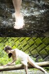FLASHデジタル写真集　森ふう花　おんがえし。(2022-10-14 )
