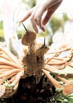 [Photobook] 2016.09.14 平塚千瑛ファースト写真集 『Birth』