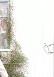 [Count Sheep] Aika Yamagishi 山岸逢花 – Sleep (2021-06-28)