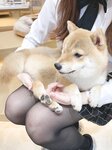 Yami-twitter