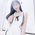 [Fantrie] 갑주 - Collection