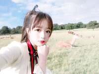 Yami-Weibo