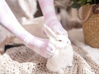 [COSPLAY] 皮皮奶 Vol.27 粉色兔兔 [71P-1.65GB]