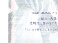 [Photobook] 2020.03.11 TEAM SHACHI　アートブックコレクションVol.2