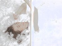 [Photobook] 2020.03.11 TEAM SHACHI　アートブックコレクションVol.2