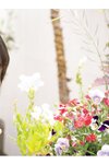 [Photobook] 2023.06.30 欲情のサマーヌード～夏の日の2023～　石川澪 アサ芸SEXY女優写真集