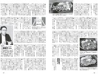 [Weekly Playboy] 2023 No.28 (森香澄 西村歩乃果 菊地姫奈 奥原妃奈子 小此木流花 ちーまき 他)