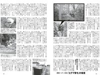 [Weekly Playboy] 2023 No.28 (森香澄 西村歩乃果 菊地姫奈 奥原妃奈子 小此木流花 ちーまき 他)
