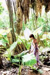 [BOMB Photobook] Yumiko Shaku 釈由美子 - I am (2012-08-30)