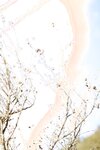 [Photobook] つばさ舞×藤かんな　今夜、私はあなたのしもべ 週刊ポストデジタル写真集(2023-03-31)