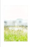 [Photobook] Aoi Mizutani 水谷あおい - Blue sunbeams 蒼い木漏れ日 (2021-12-10)