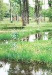 [Shonen Sunday] 週刊少年サンデー 2023.07.19 No.32 谷口愛季