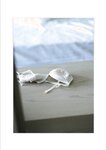 [Photobook] Haruka Kodama 兒玉遥 - Stay 25 (2022-11-25)