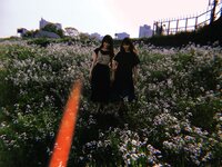 [BRODY(ブロディ)] 2018年02月号