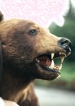 [BRODY(ブロディ)] 2018年02月号