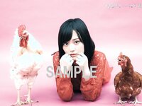 [BRODY(ブロディ)] 2018年02月号
