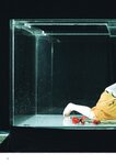 [BRODY(ブロディ)] 2018年02月号