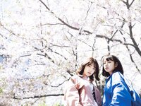 [BRODY(ブロディ)] 2018年02月号