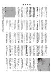 週刊大衆 2023年2月6日号[雑誌] - 週刊大衆編集部