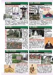 週刊大衆 2023年1月30日号[雑誌] - 週刊大衆編集部