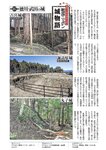 週刊大衆 2023年1月30日号[雑誌] - 週刊大衆編集部