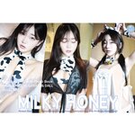 [BLUECAKE] NewBom 2nd - Milky Honey