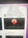 Reeseinpieces OnlyFans Leak (+1400 pics)