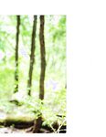 [Photobook] Nao Kosaka 小坂菜緒 1st Photobook - Who are you 君は誰 (2021-06-29) (Canon scan)
