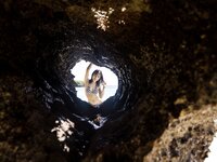 [Photobook] Remu Suzumori 涼森れむ - Gravure Photobook In a transparent world 透き通る世界の中で (2021-11-19)