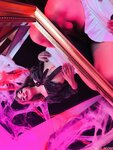 Mimi_boom OnlyFans Leaked Photo Collection
