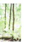 [Photobook] Nao Kosaka 小坂菜緒 1st Photobook - Who are you 君は誰 (2021-06-29) (HP scan)