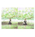 [Photobook] Nao Kosaka 小坂菜緒 1st Photobook - Who are you 君は誰 (2021-06-29) (HP scan)