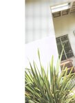 [Photobook] Nao Kosaka 小坂菜緒 1st Photobook - Who are you 君は誰 (2021-06-29) (HP scan)