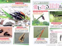 [FLASH] 2023.08.22-29 No.1700 福原遥 澄田綾乃 藤本万梨乃 志田音々 三田悠貴 竹内花 他