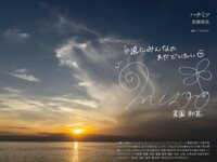 [Photobook] 美園和花 オフィシャルグラビア写真集 ハチミツ