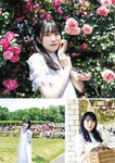 [EnTame] 月刊エンタメ 2023.08 乃木坂46 梅澤美波 黒見明香 加藤夕夏 黒田楓和 龍本弥生 白瀬乃愛 高橋きら 達家真姫宝 本田珠由記 大河もも