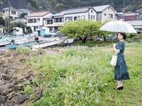 [Photobook] Shihori Kotoi 琴井しほり - Gravure Photobook Shiosai 潮騒 (2021-07-23)