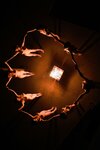 [Post Digital Photo] Tsukasa Aoi & 7 others – 8woman Last Dance Naked goddess ∞ view 裸女神∞景 (2023-08-07)