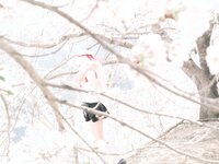 [Cosplay][Ruu Milk] Ruu Matsutani 松谷琉優 - Illya イリヤ four season
