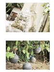 [Photobook] Hazuki Wakamiya 若宮はずき - COME ALONG (2021-08-06)