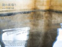 [Photobook] Noa Amaharu 天晴乃愛 - Chest throbbing 胸の高鳴り (2022-07-22)
