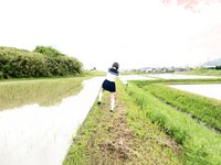 [Photobook] Noa Amaharu 天晴乃愛 - Chest throbbing 胸の高鳴り (2022-07-22)