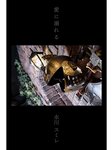 [Photobook] 水川スミレ オフィシャルグラビア写真集 愛に溺れる 深愛