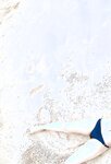 [Photobook] Nana Yamada - 4+3=7