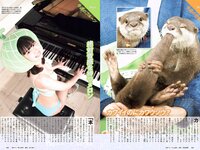 [Weekly Playboy] 2019 No.07 (橋本環奈 橋本梨菜 あの 蜂谷晏海 今田美桜 上村ひなの 他)