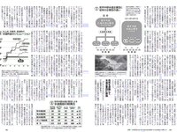 [Weekly Playboy] 2019 No.07 (橋本環奈 橋本梨菜 あの 蜂谷晏海 今田美桜 上村ひなの 他)