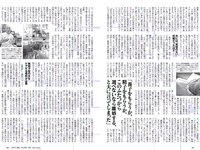 [Weekly Playboy] 2019 No.07 (橋本環奈 橋本梨菜 あの 蜂谷晏海 今田美桜 上村ひなの 他)