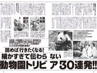 [Weekly Playboy] 2023 No.37 (ゆうちゃみ ゆいちゃみ 井上咲楽 中井りか 天羽希純 新田さちか 大白桃子 渕上ひかる 有那 他)
