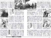 [Weekly Playboy] 2023 No.37 (ゆうちゃみ ゆいちゃみ 井上咲楽 中井りか 天羽希純 新田さちか 大白桃子 渕上ひかる 有那 他)